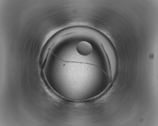 X0000091961030200709201339