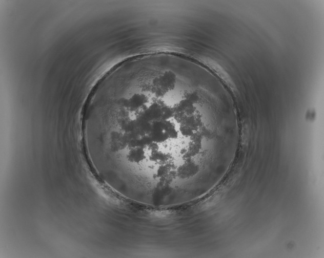 X0000091961031200709201339