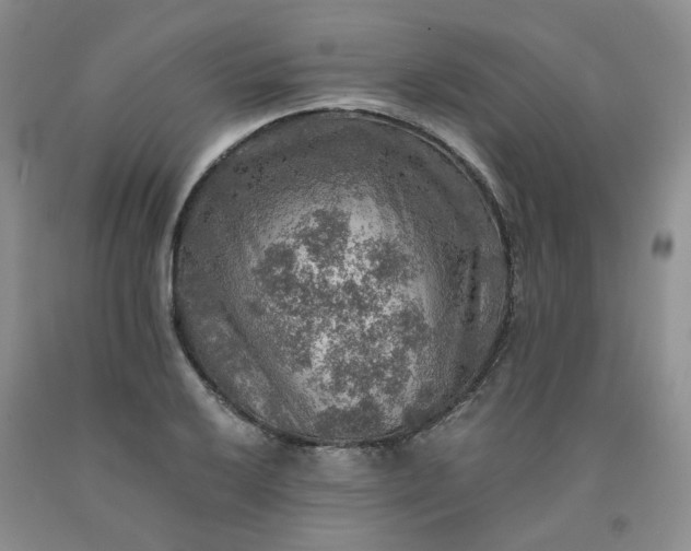 X0000091961032200709201339