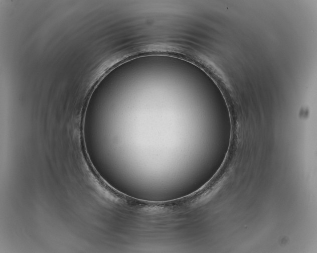 X0000091961033200709201339