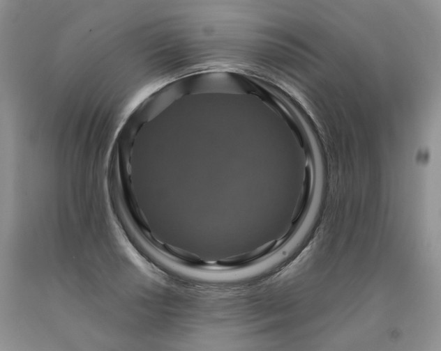 X0000091961034200709201339