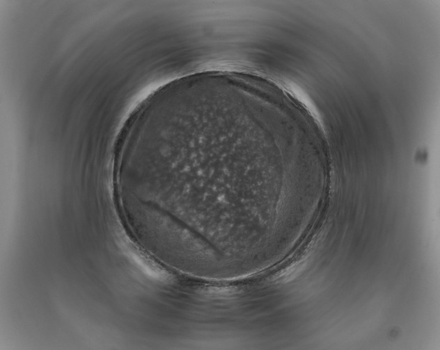 X0000091961035200709201339