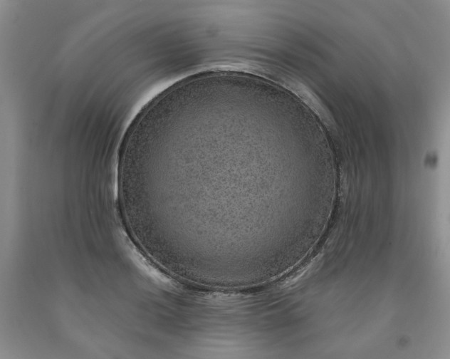 X0000091961036200709201339