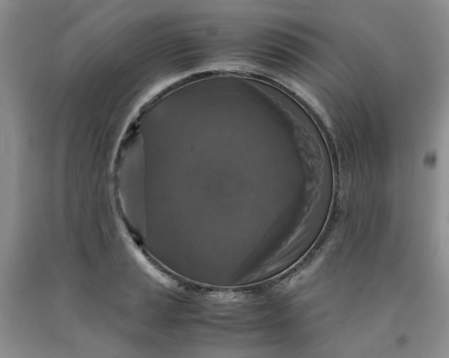 X0000091961037200709201339