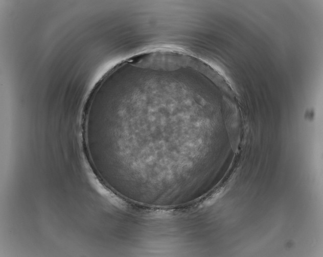 X0000091961038200709201339