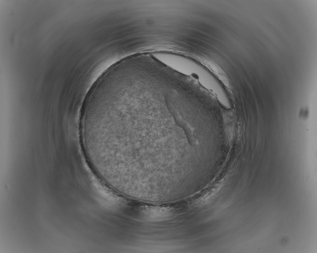 X0000091961039200709201339