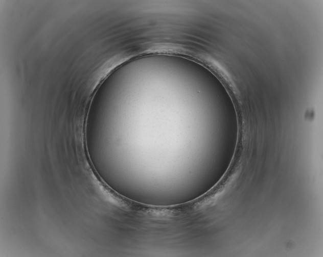 X0000091961041200709201339