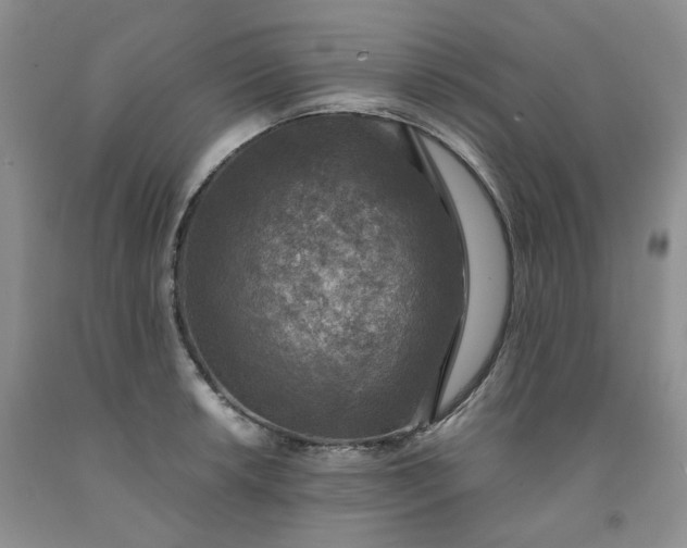 X0000091961042200709201339