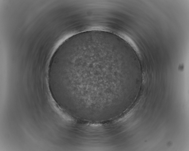 X0000091961043200709201339