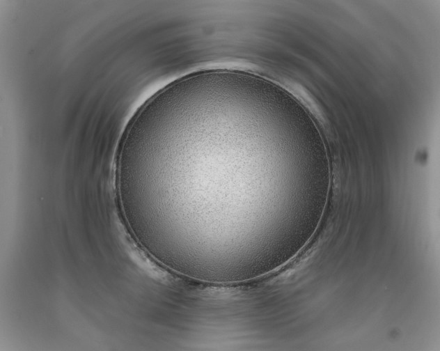 X0000091961044200709201339