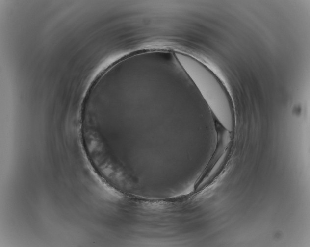 X0000091961045200709201339