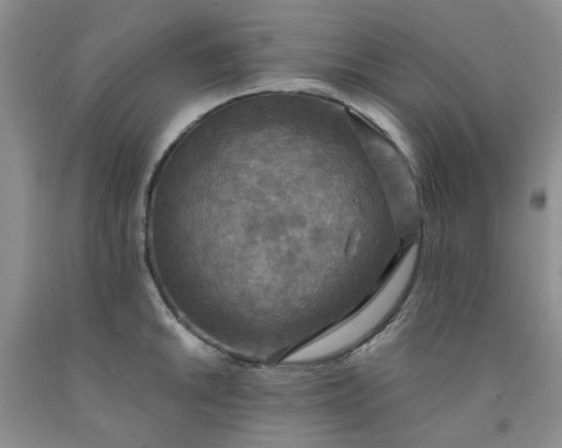 X0000091961046200709201339