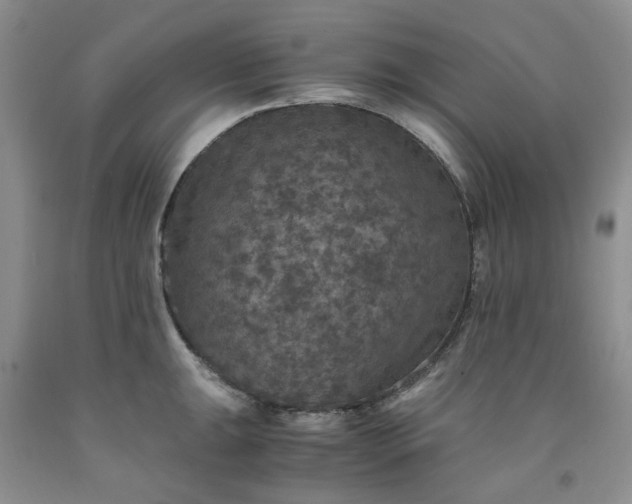 X0000091961047200709201339