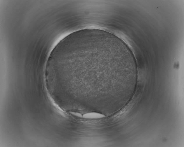 X0000091961048200709201339