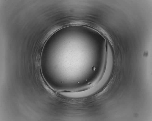 X0000091961049200709201339