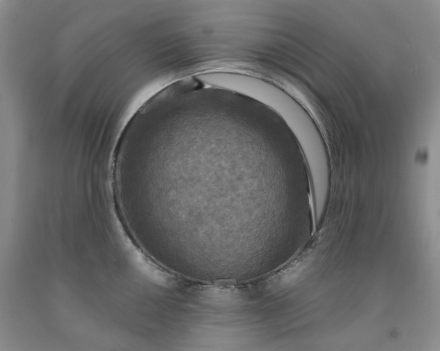 X0000091961050200709201339