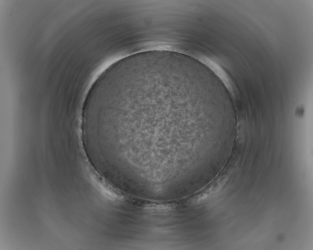 X0000091961051200709201339