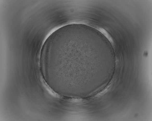 X0000091961052200709201339