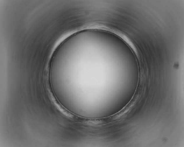 X0000091961053200709201339