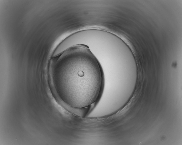 X0000091961054200709201339