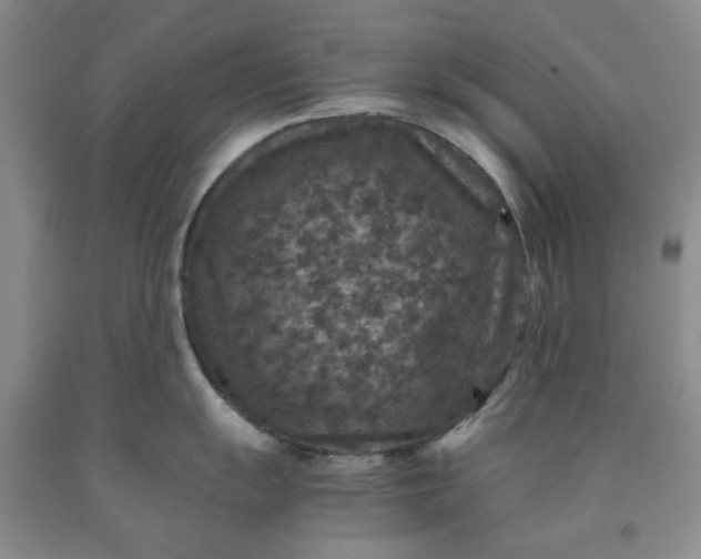 X0000091961055200709201339