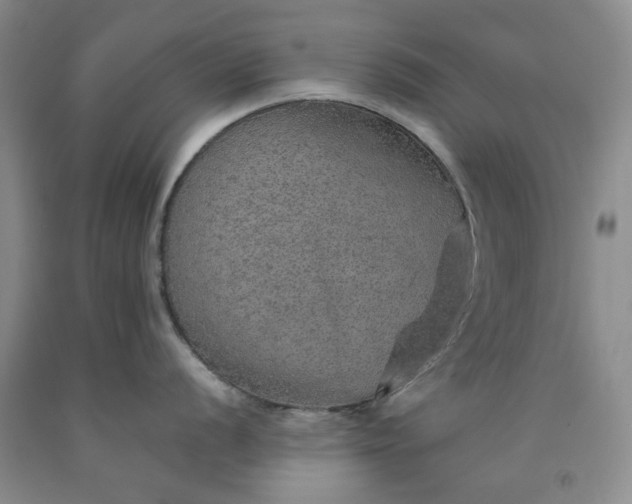 X0000091961056200709201339