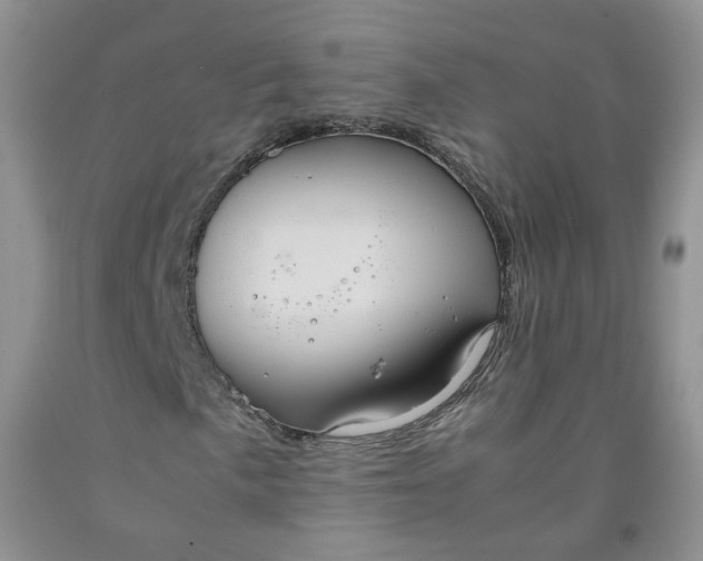 X0000091961057200709201339