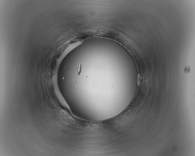 X0000091961058200709201339