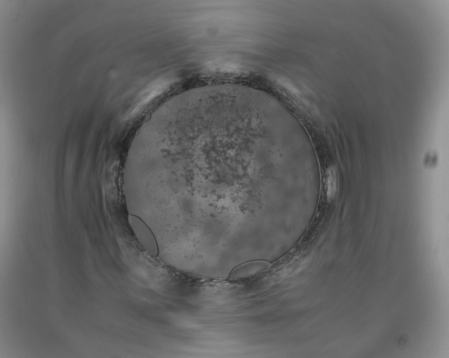 X0000091961059200709201339