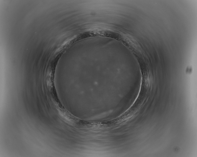 X0000091961060200709201339