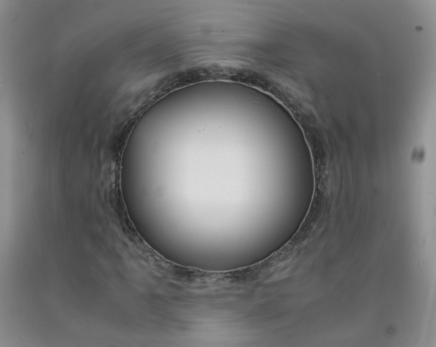 X0000091961061200709201339