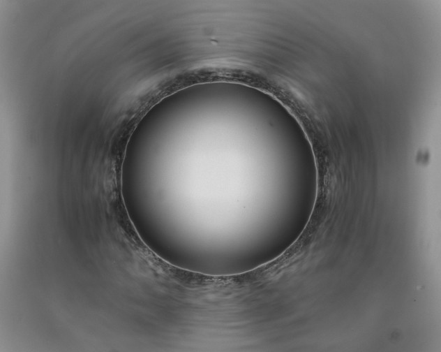 X0000091961062200709201339