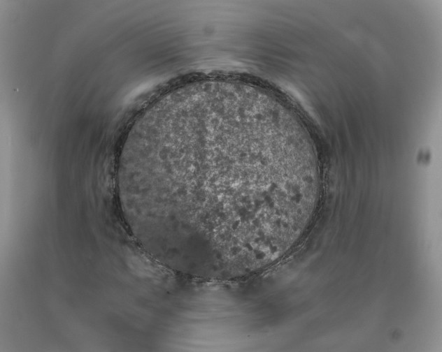 X0000091961063200709201339