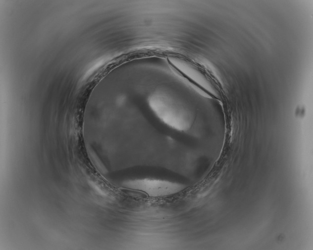 X0000091961064200709201339