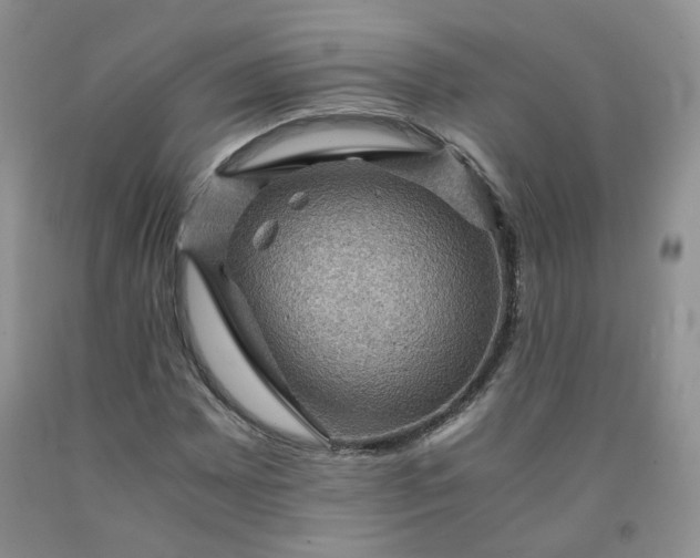 X0000091961065200709201339