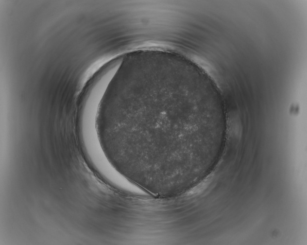 X0000091961066200709201339