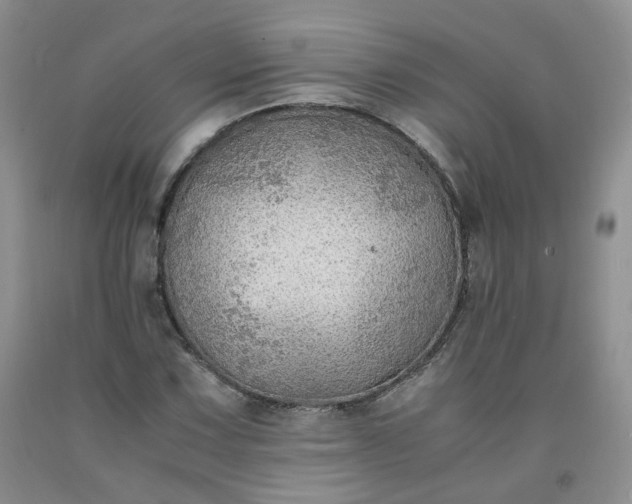 X0000091961067200709201339