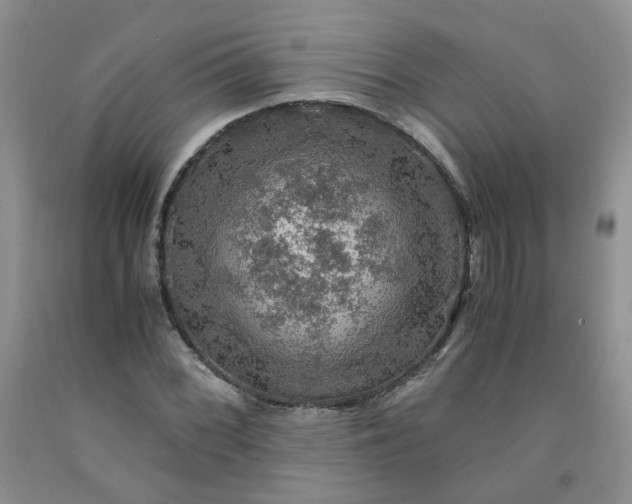 X0000091961068200709201339