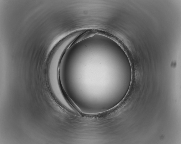 X0000091961069200709201339