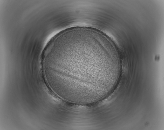 X0000091961070200709201339