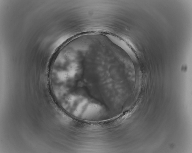 X0000091961071200709201339