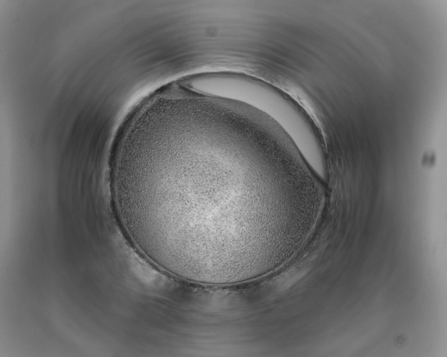 X0000091961072200709201339