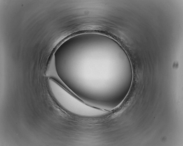 X0000091961073200709201338