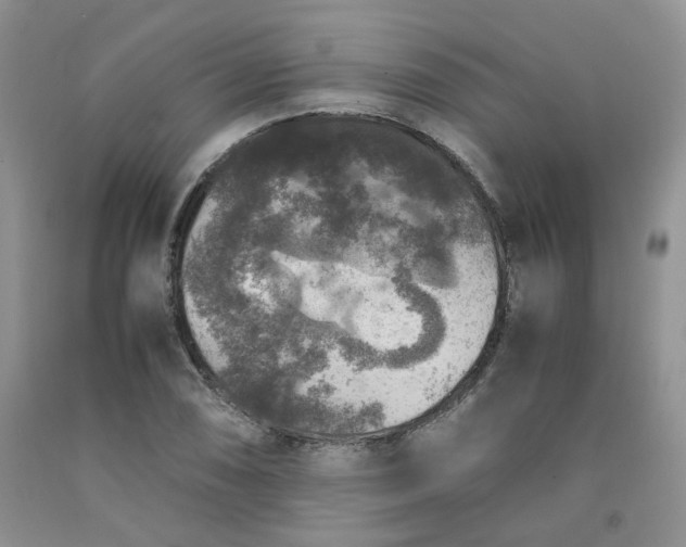 X0000091961074200709201338