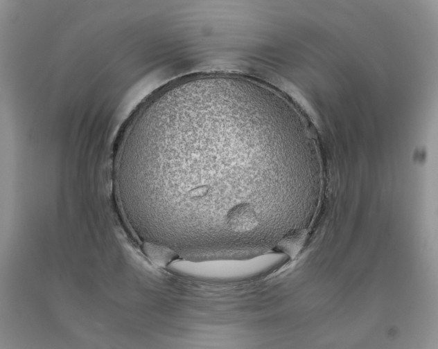 X0000091961075200709201338