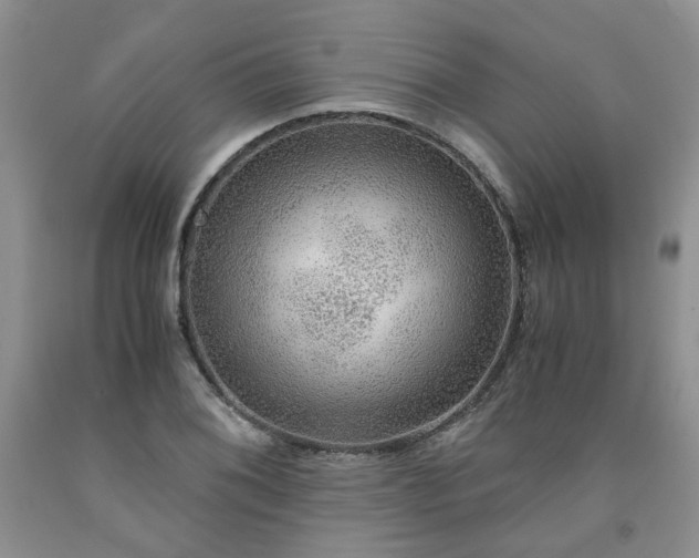 X0000091961076200709201338