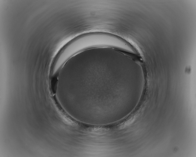 X0000091961077200709201338