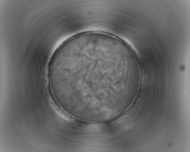 X0000091961078200709201338