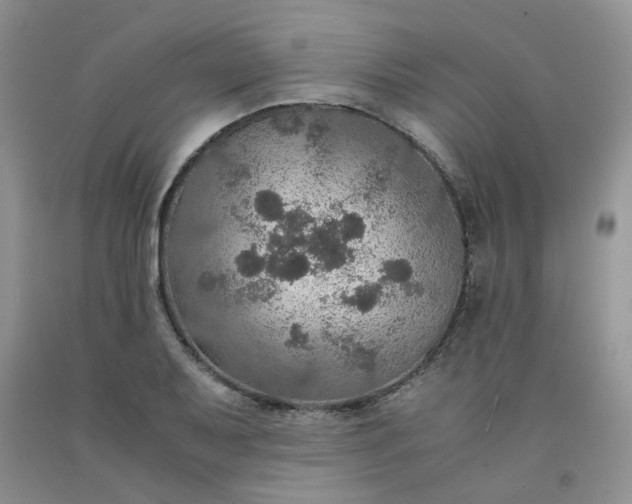 X0000091961079200709201338