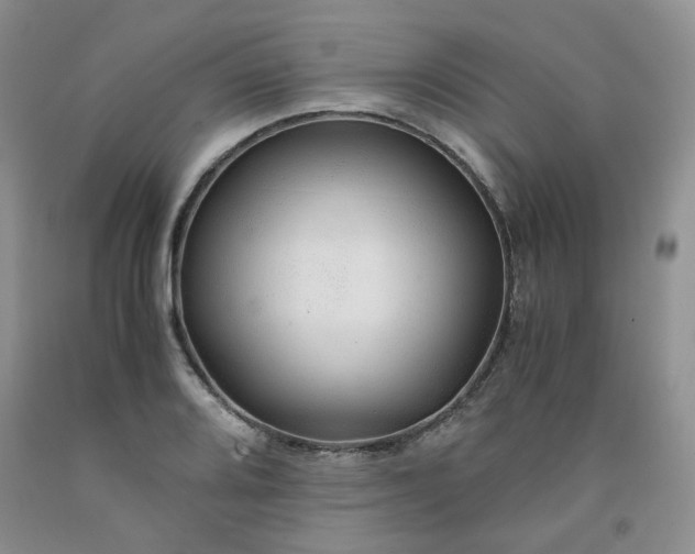 X0000091961080200709201338